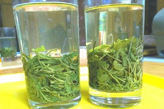 茶葉為什么不能亂送人，買茶葉一次送一盒還是兩盒