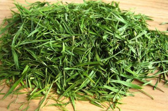哪類人不適合喝石竹茶，石竹茶的功效與禁忌