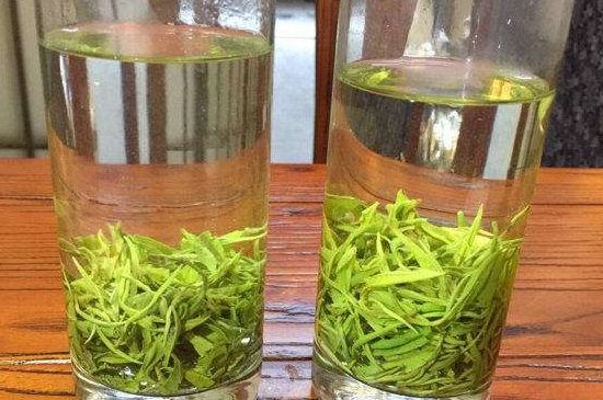 黃金茶的功效及禁忌癥，黃金茶有什么副作用嗎？