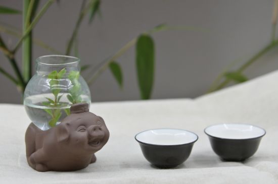 正確泡茶13個流程，新手從零開始學泡茶的步驟