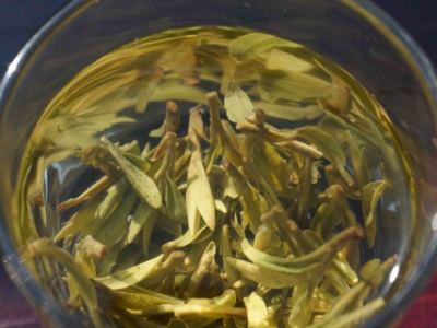 安吉白茶的功效與作用，簡單概括安吉白茶功效