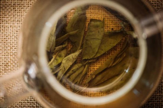 苦丁茶副作用，苦丁可以經(jīng)常喝嗎？