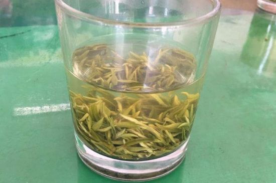 碧螺春正確泡法和飲用，碧螺春茶泡茶方法與溫度