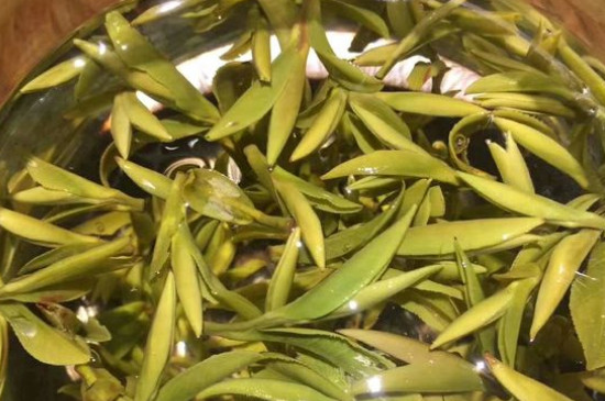 八大茶系都有哪幾種，八大茶系都是什么名字