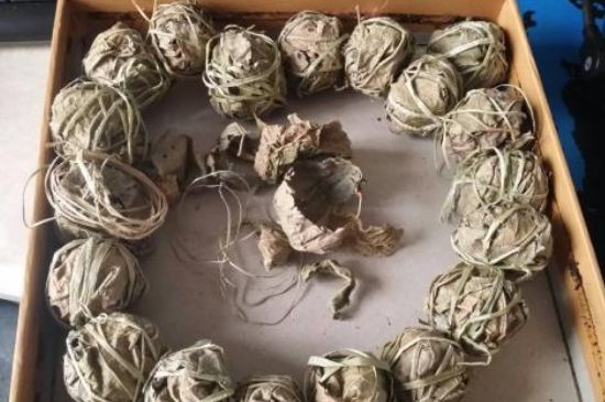 鷓鴣茶用拆開泡嗎，鷓鴣茶要解開繩子泡嗎