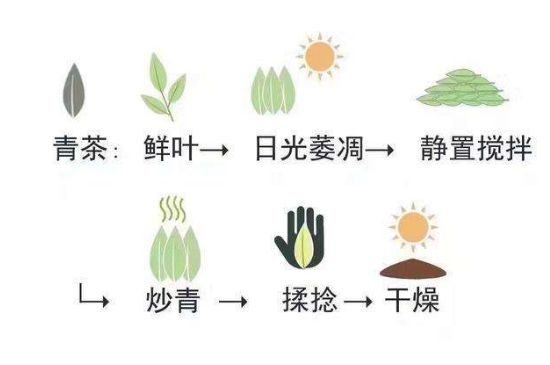 茶葉名稱大全和圖片，茶葉名字大全三四個字！