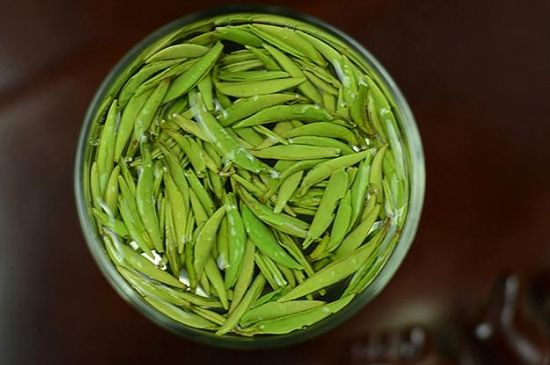 雀舌茶什么人不能喝，雀舌茶的功效與禁忌