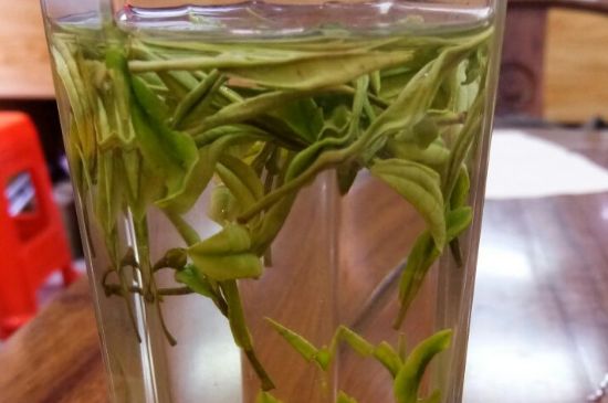 云霧綠茶的功效及禁忌，哪些人不適合喝云霧茶