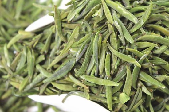 雀舌茶什么人不能喝，雀舌茶的功效與禁忌