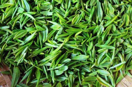 云霧綠茶的功效及禁忌，哪些人不適合喝云霧茶