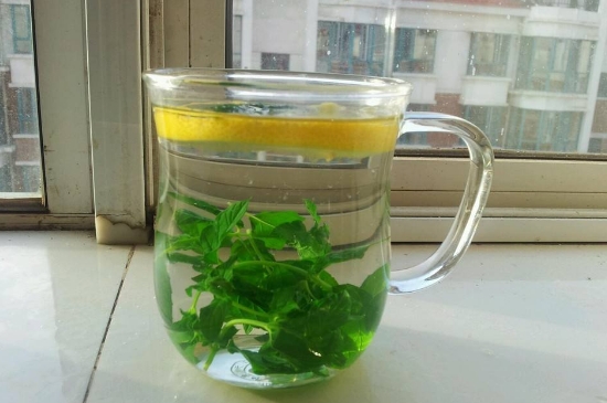 薄荷茶的功效與作用，喝薄荷茶有什么好處？