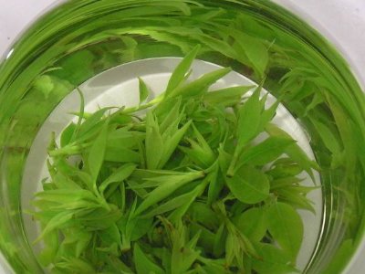 茶葉具有什么功效，茶葉的功效與作用大全