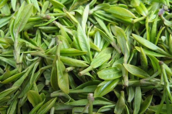 世界最貴的茶葉排行榜，十大最貴的茶