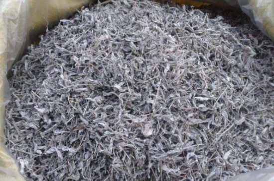 怎樣辨別莓茶發(fā)霉了，莓茶發(fā)霉和白霜的區(qū)別