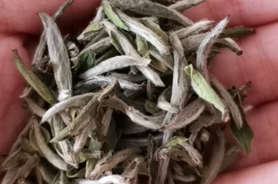 如何買茶葉不上當，怎么買茶葉不被坑？