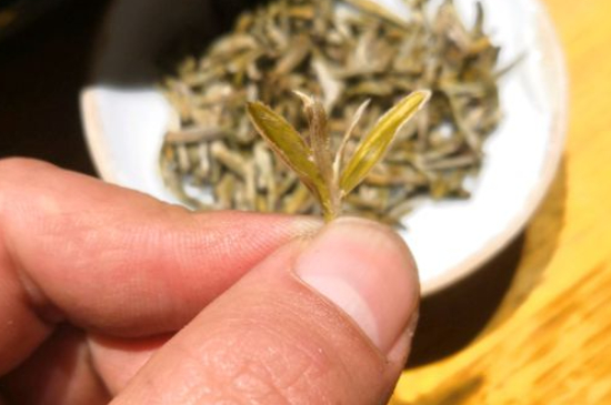 六大茶類哪種適合長期存放，日常如何保存方法一覽？