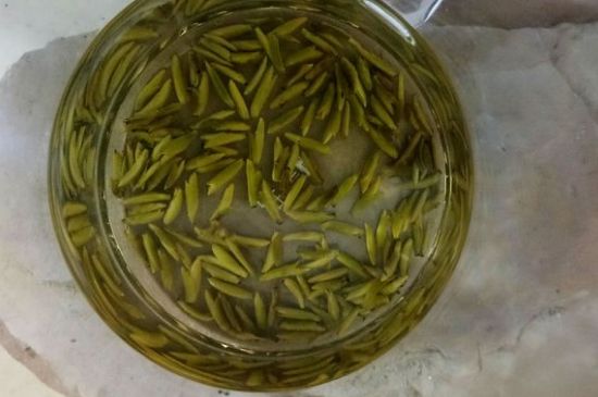 茶葉在哪里買比較好，哪里能買到好的茶葉