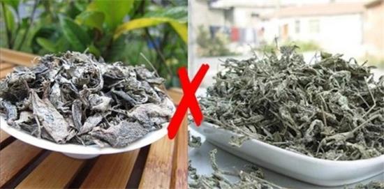 張家界茅巖莓茶與藤茶是同一種茶嗎，藤茶跟莓茶一不一樣？