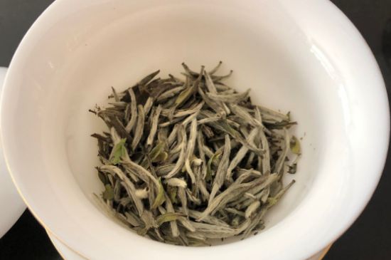 春茶上市白茶的好壞怎么區(qū)分，春白茶怎么分辨好不好？