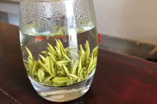 安吉白茶耐寒嗎，白茶適合放冰箱嗎