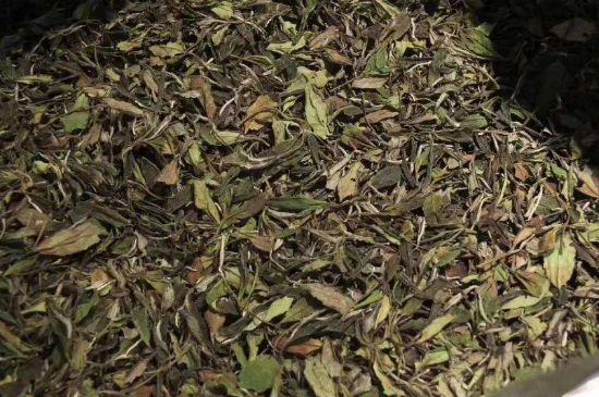 陳茶還是新茶好，茶葉是新茶好喝還是陳茶好喝