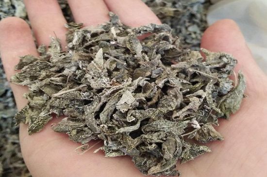 張家界莓茶真假對(duì)比，野生莓茶的鑒別方法