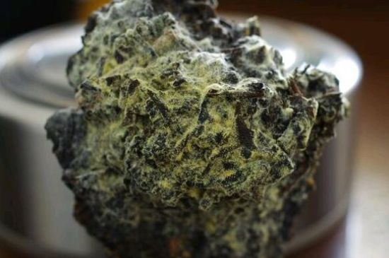 涇渭茯茶保質期多久，陜西涇渭茯茶能放幾年