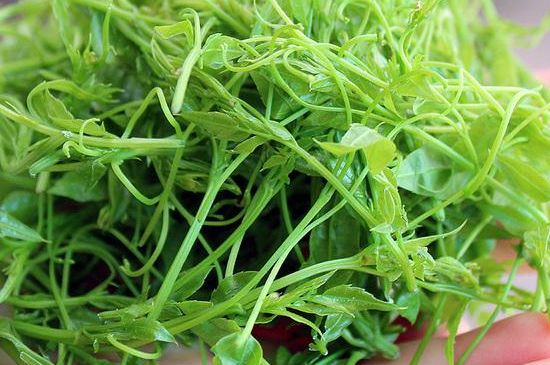 茅巖莓茶保質(zhì)期有多久，張家界莓茶存放時(shí)間長了還能喝嗎？