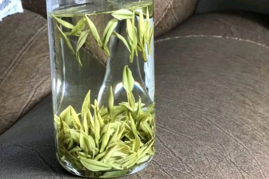 安吉白茶夏天怎么保存，安吉白茶能冷凍儲(chǔ)存嗎？