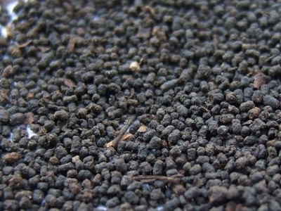 圓形顆粒狀茶是什么茶，像飼料一樣一粒粒的是什么茶？