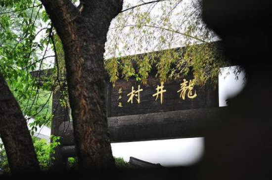 杭州買龍井茶攻略，怎么買到正宗的西湖龍井？