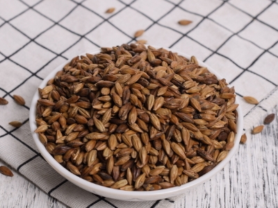 圓形顆粒狀茶是什么茶，像飼料一樣一粒粒的是什么茶？