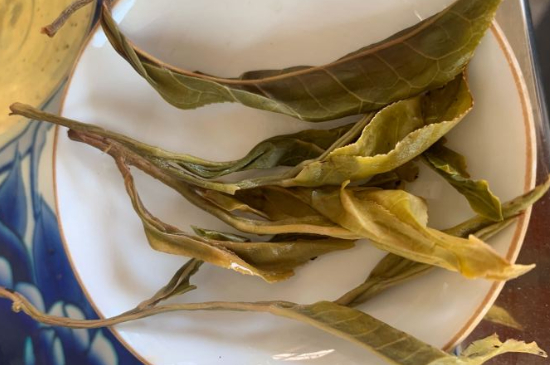 普洱茶十大學費茶排名，吉普H是學費茶？