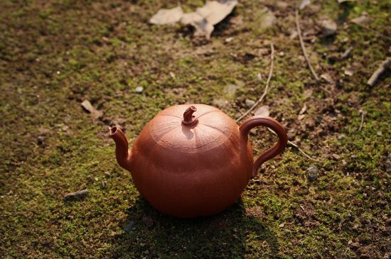 紫砂壺泡什么茶最佳，紫砂壺一般泡什么茶？