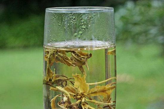 茉莉龍珠什么人不能喝，茉莉龍珠茶什么體質(zhì)不能喝？