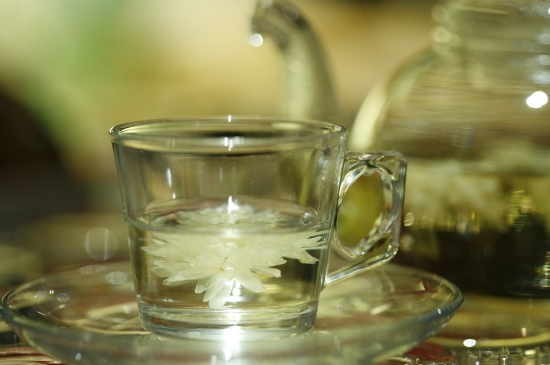 菊花茶天天喝行嗎，每天喝菊花泡茶喝好嗎？
