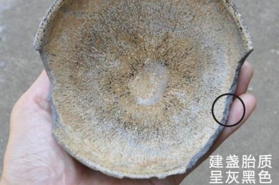 假建盞的特點，真假建盞區(qū)分帶圖