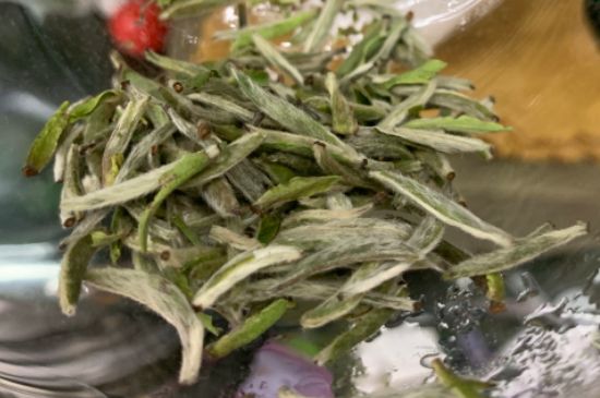 蒸汽煮茶器適合什么茶，蒸汽煮茶器適合用綠茶嗎？