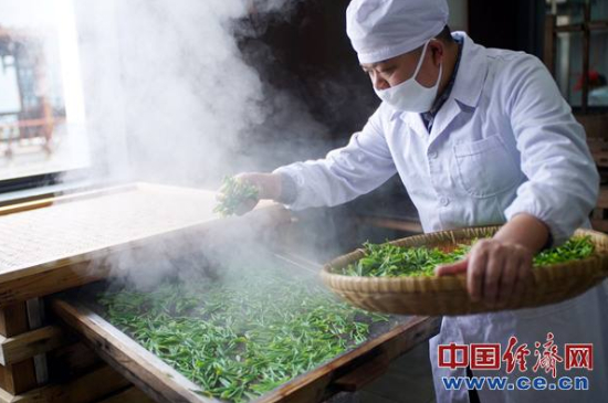 炒青綠茶與綠茶的區(qū)別，烘青和炒青哪個(gè)好喝？