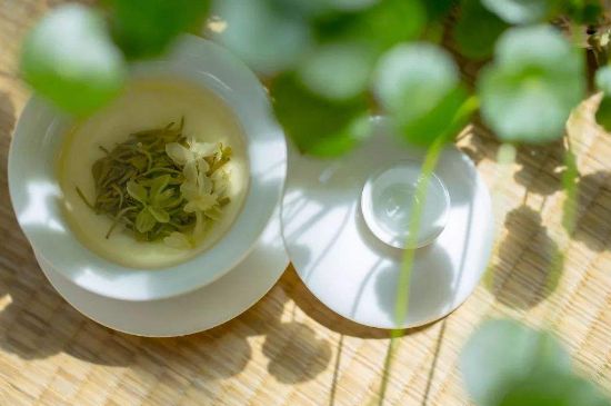 茉莉花茶6種人不要喝，什么體質(zhì)不適合喝茉莉花茶？