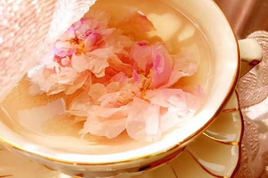 玫瑰花茶一周喝幾次，玫瑰花茶可以天天喝嗎？