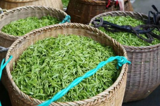 茶葉怎么炒制才香，怎樣炒茶葉更香？