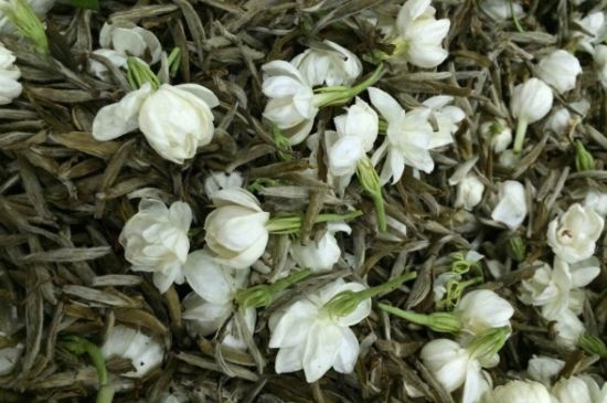 茉莉銀針口感，茉莉銀針是什么味道？