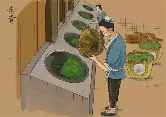 制茶八步驟，制茶工藝流程圖