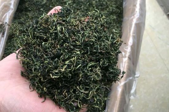 蒲公英十大搭配，蒲公英泡水搭配大全集