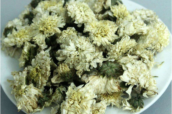 菊花茶買小朵還是大朵，泡茶用的小菊花和大菊花哪個好
