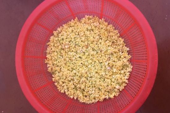 干桂花茶的制作方法，怎樣自制桂花茶？
