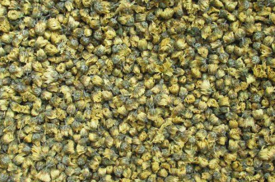 菊花茶大朵小朵有什么區(qū)別，菊花喝大朵還是小朵？