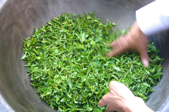 綠茶加工工藝流程圖，綠茶的加工制作包含哪幾個(gè)步驟？
