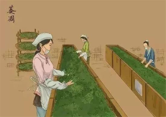 制茶八步驟，制茶工藝流程圖